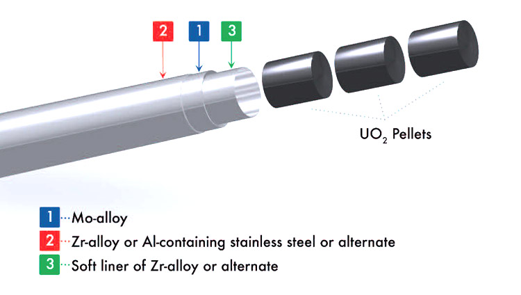 Development of Advanced Accident Tolerant Fuels for Commercial LWRs ...